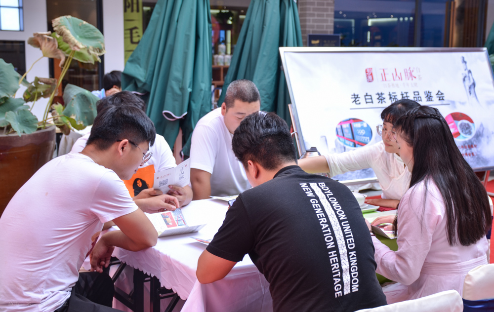 2019年国香茶城，白茶节，顺茗道，正山脉品鉴会