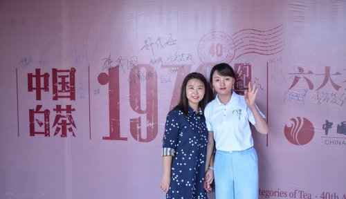 2019年国香茶城，白茶节，隆合茶业，1979品鉴会