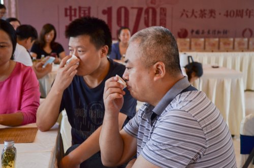 2019年国香茶城，白茶节，隆合茶业，1979品鉴会