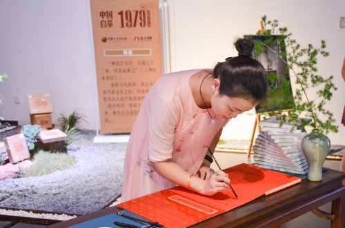 2019年国香茶城，白茶节，隆合茶业-私享会