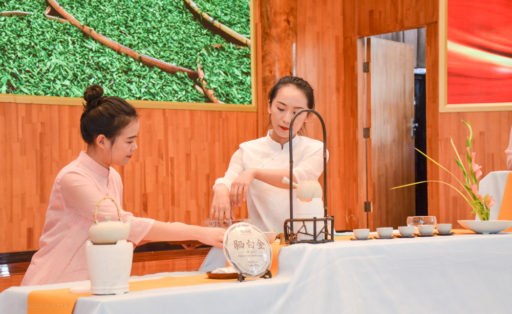 2019年国香茶城，白茶节，品品香-品鉴会