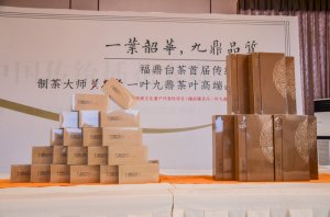 2019年国香茶城，白茶节，一叶九鼎品鉴会