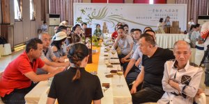 2019年国香茶城，白茶节，一叶九鼎品鉴会