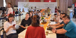 2019年国香茶城，白茶节，一叶九鼎品鉴会