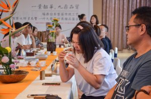 2019年国香茶城，白茶节，一叶九鼎品鉴会
