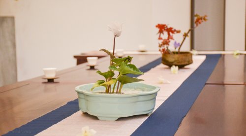 2019年国香茶城，白茶节，祥源茶业-私享会