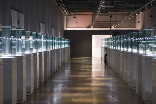 2019-中国茶器具发展论坛-中原茶文化节开幕式