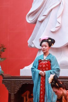 2019-中国茶器具发展论坛-中原茶文化节开幕式（二）