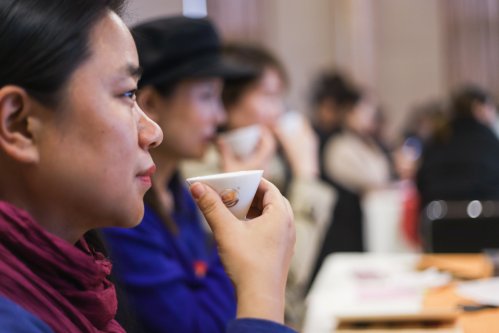 2019年曦瓜大红袍-奇正和&竹林老从-专场品鉴会·郑州