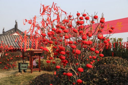 2019年冬至国香茶城千年枣树祈福
