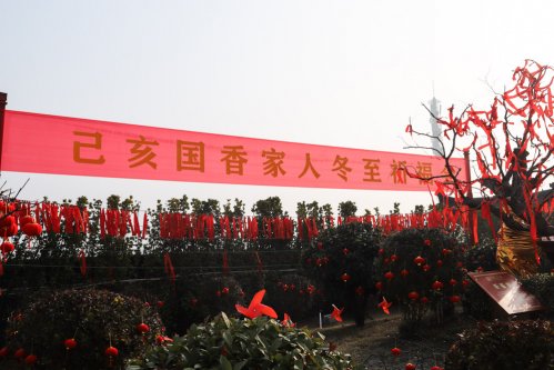 2019年冬至国香茶城千年枣树祈福