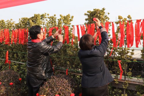 2019年冬至国香茶城千年枣树祈福