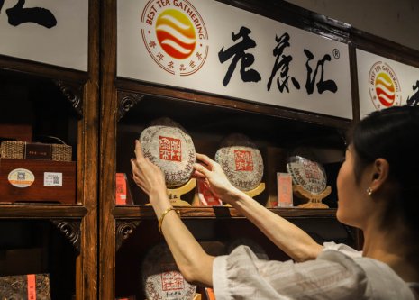 《喜禾茶馆》老茶汇名品乐享会-第五季【郑州站】