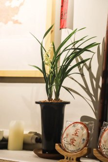 《喜禾茶馆》老茶汇名品乐享会-第五季【郑州站】
