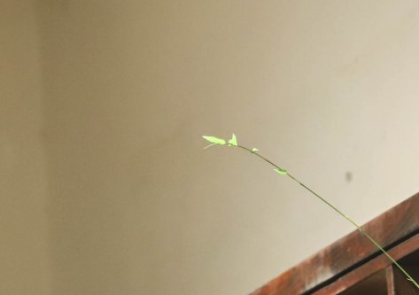 《喜禾茶馆》老茶汇名品乐享会-第五季【郑州站】