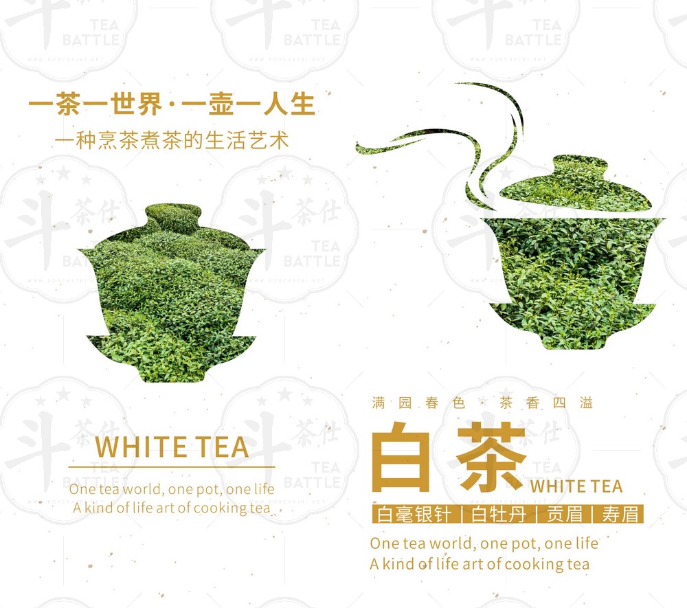 白茶画册
