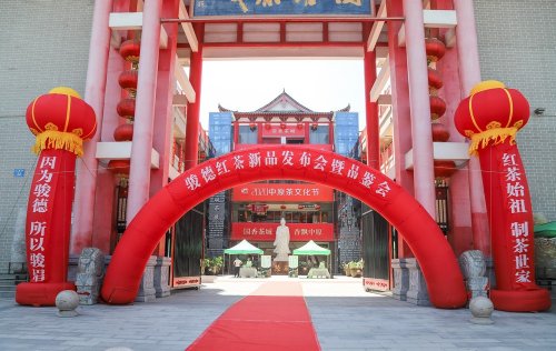 骏德红茶“三枞知味”中原首发茶友品鉴会