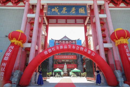 骏德红茶“三枞知味”中原首发茶友品鉴会