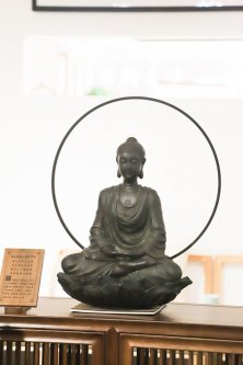 骏德红茶“三枞知味”中原首发茶友品鉴会