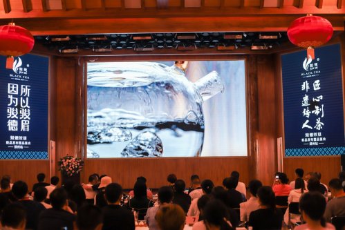 骏德红茶“三枞知味”中原首发茶友品鉴会
