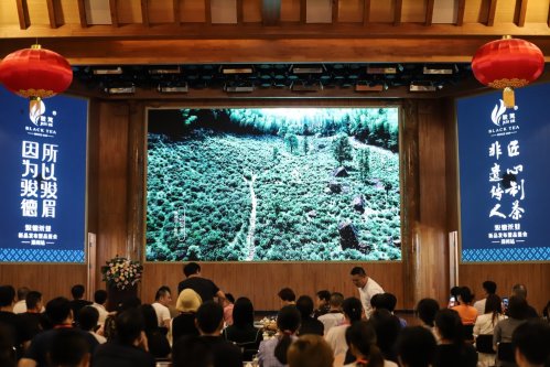 骏德红茶“三枞知味”中原首发茶友品鉴会