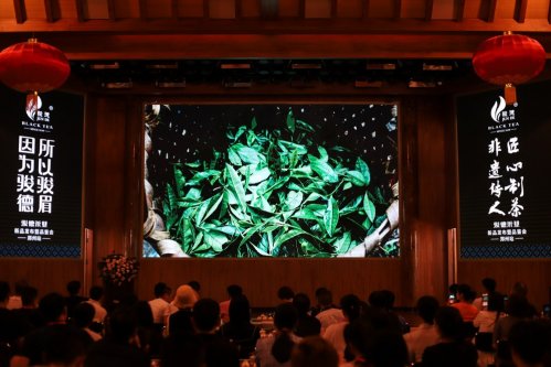骏德红茶“三枞知味”中原首发茶友品鉴会