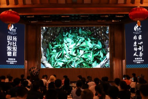 骏德红茶“三枞知味”中原首发茶友品鉴会