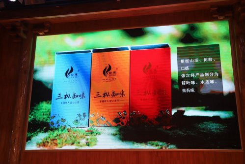 骏德红茶“三枞知味”中原首发茶友品鉴会