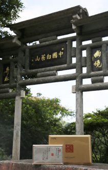 《方守龙》郑好拾年方守龙有机白茶河南运营中心十周年