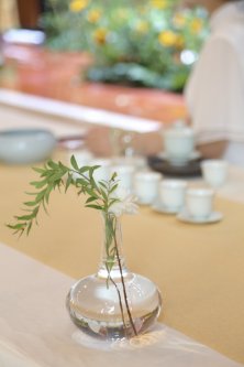 《方守龙》郑好拾年方守龙有机白茶河南运营中心十周年