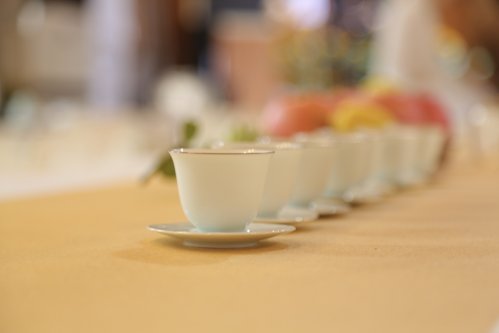 《方守龙》郑好拾年方守龙有机白茶河南运营中心十周年
