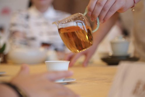 《方守龙》郑好拾年方守龙有机白茶河南运营中心十周年