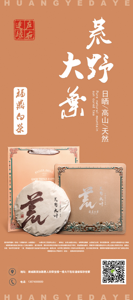 左右逢缘荒野白茶产品拍摄