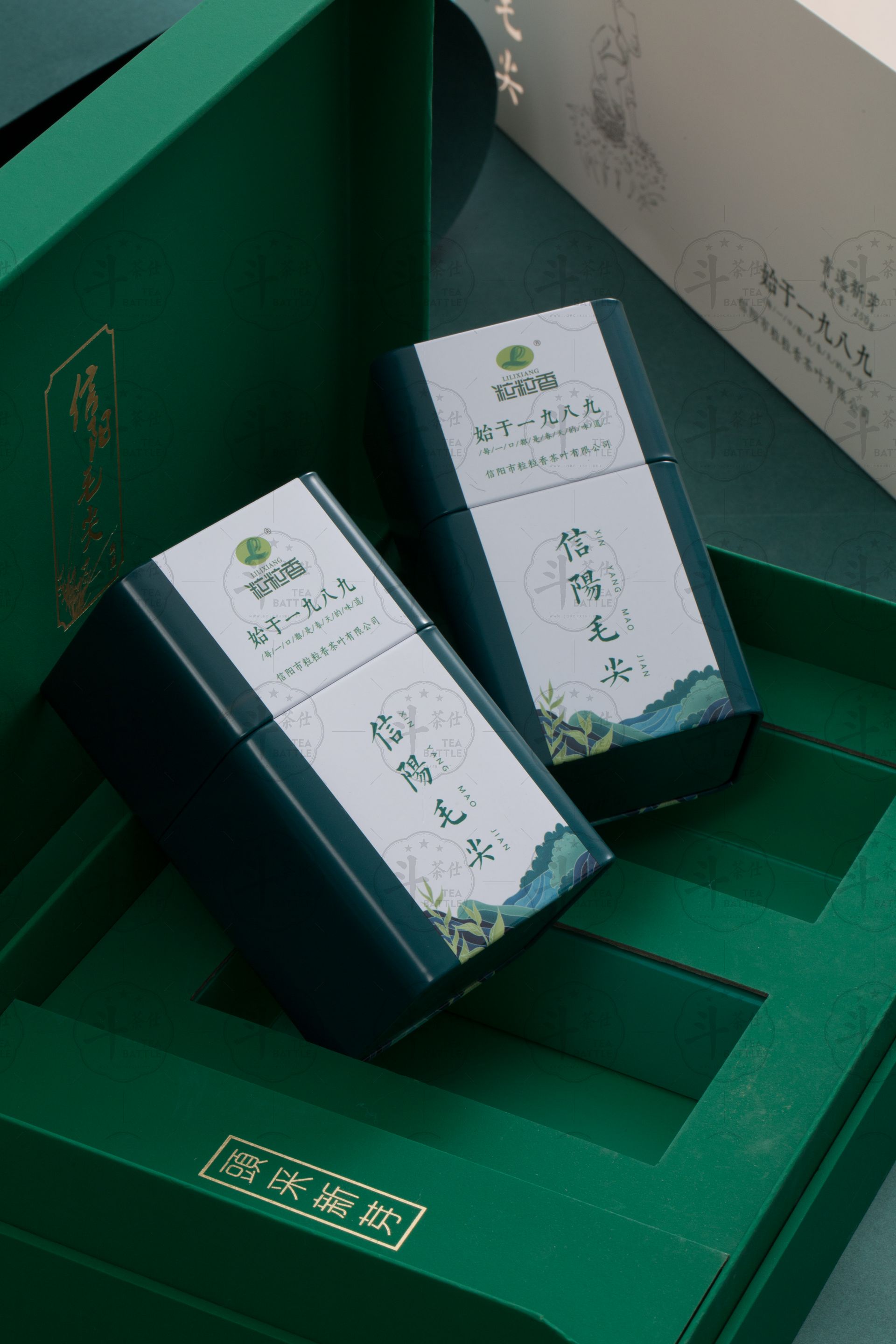 2021年4款新品信阳毛尖礼盒-NEW