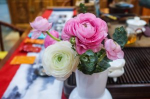 凤凰茶城_叶小善-立春茶会【花茶品鉴会】