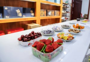 凤凰茶城_叶小善-立春茶会【花茶品鉴会】