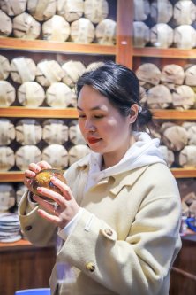 凤凰茶城_叶小善-立春茶会【花茶品鉴会】