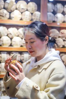 凤凰茶城_叶小善-立春茶会【花茶品鉴会】