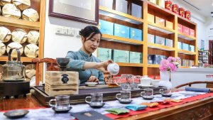 凤凰茶城_叶小善-立春茶会【花茶品鉴会】