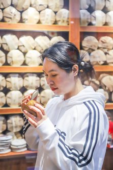 凤凰茶城_叶小善-立春茶会【花茶品鉴会】