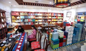 凤凰茶城_叶小善-立春茶会【花茶品鉴会】