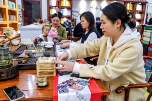 凤凰茶城_叶小善-立春茶会【花茶品鉴会】