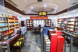 凤凰茶城_叶小善-立春茶会【花茶品鉴会】