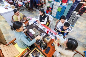凤凰茶城_叶小善-立春茶会【花茶品鉴会】