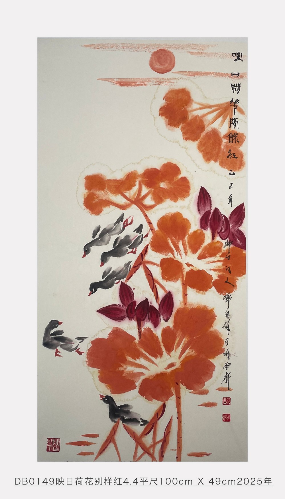 映日荷花别样红_邓白跃进DB0149 -齐派娄门邓白跃进从艺四十五周年巡展
