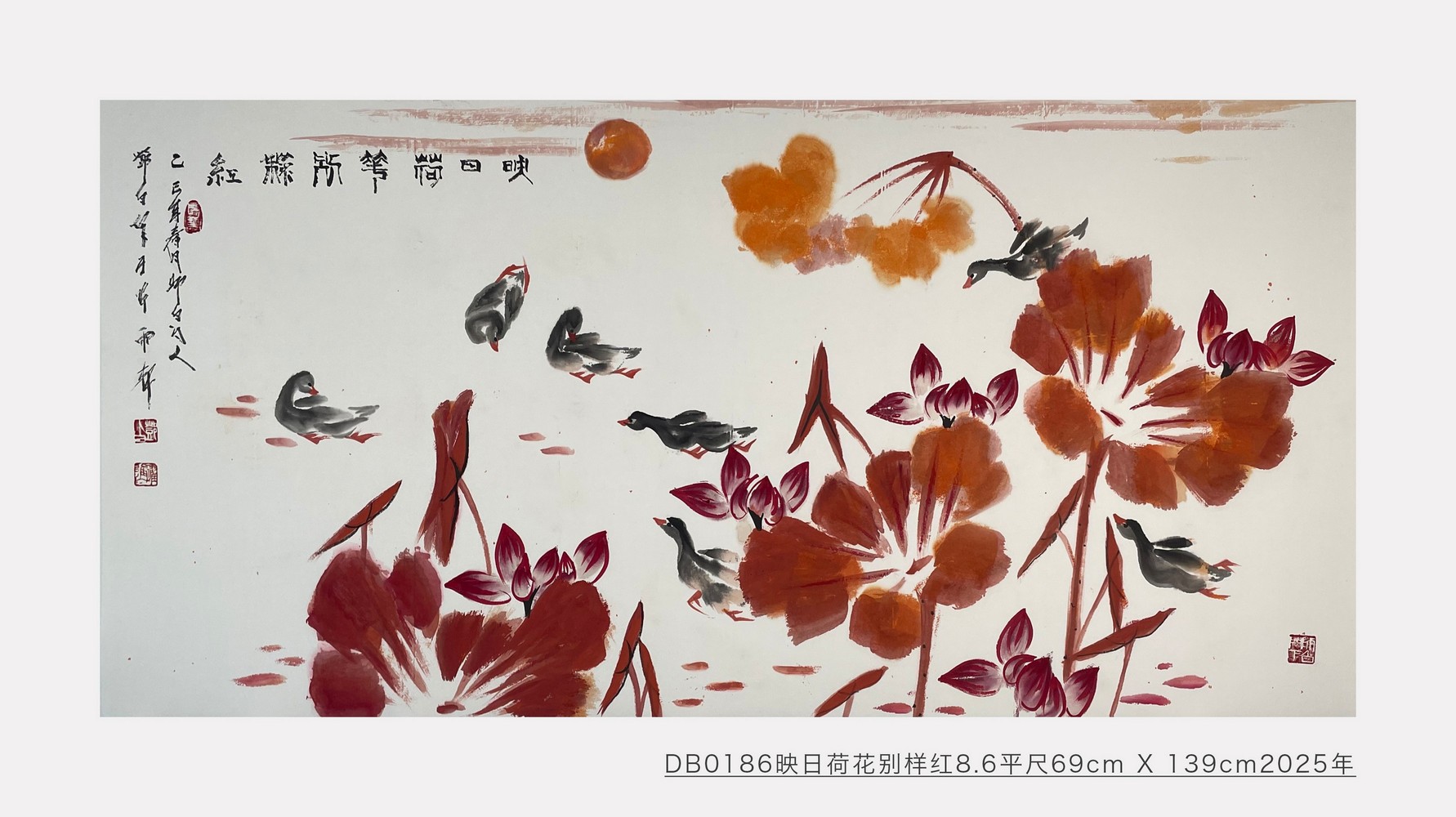 映日荷花别样红_邓白跃进DB0186 -齐派娄门邓白跃进从艺四十五周年巡展