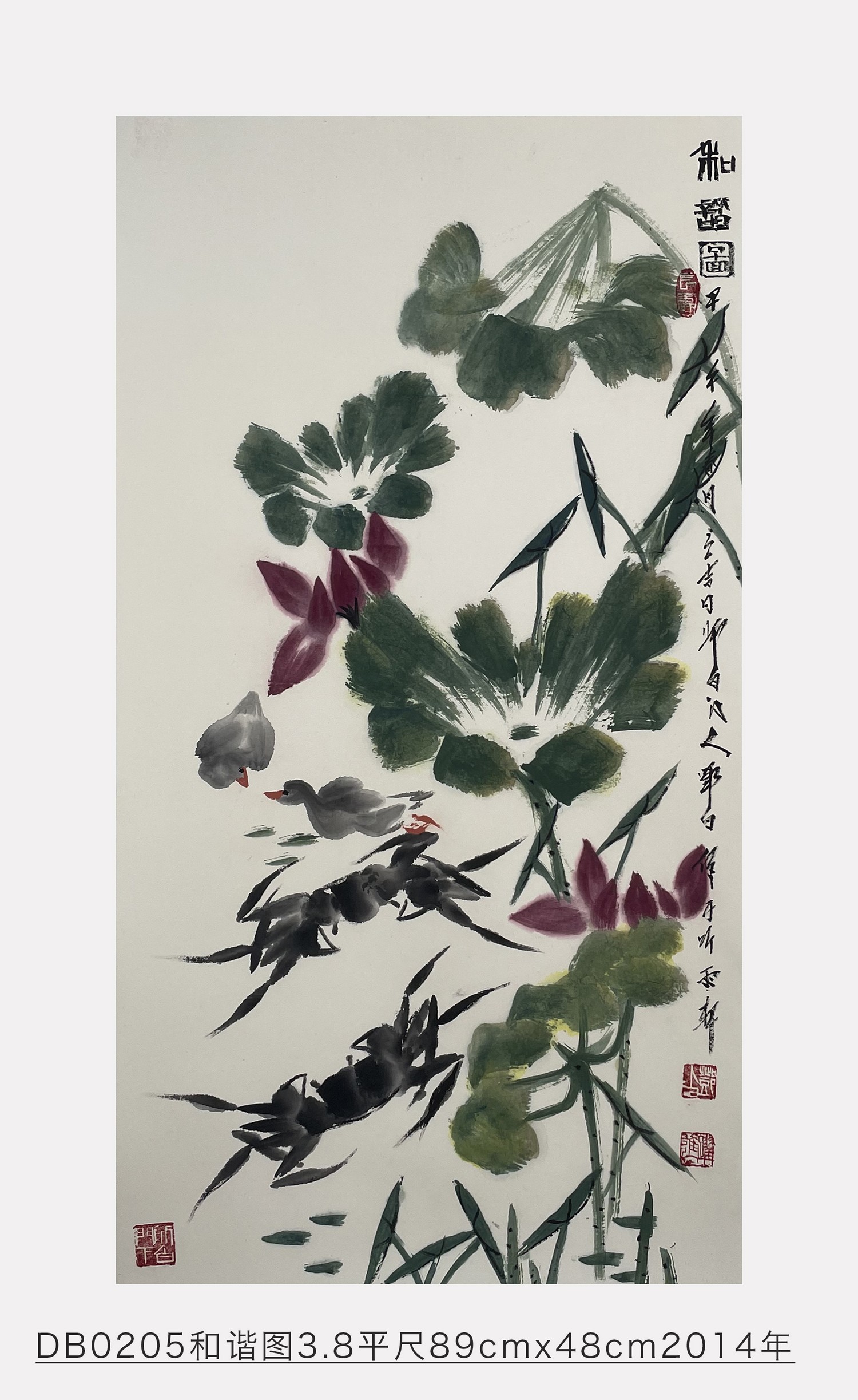 和谐图_邓白跃进DB0205 --齐派娄门邓白跃进从艺四十五周年巡展
