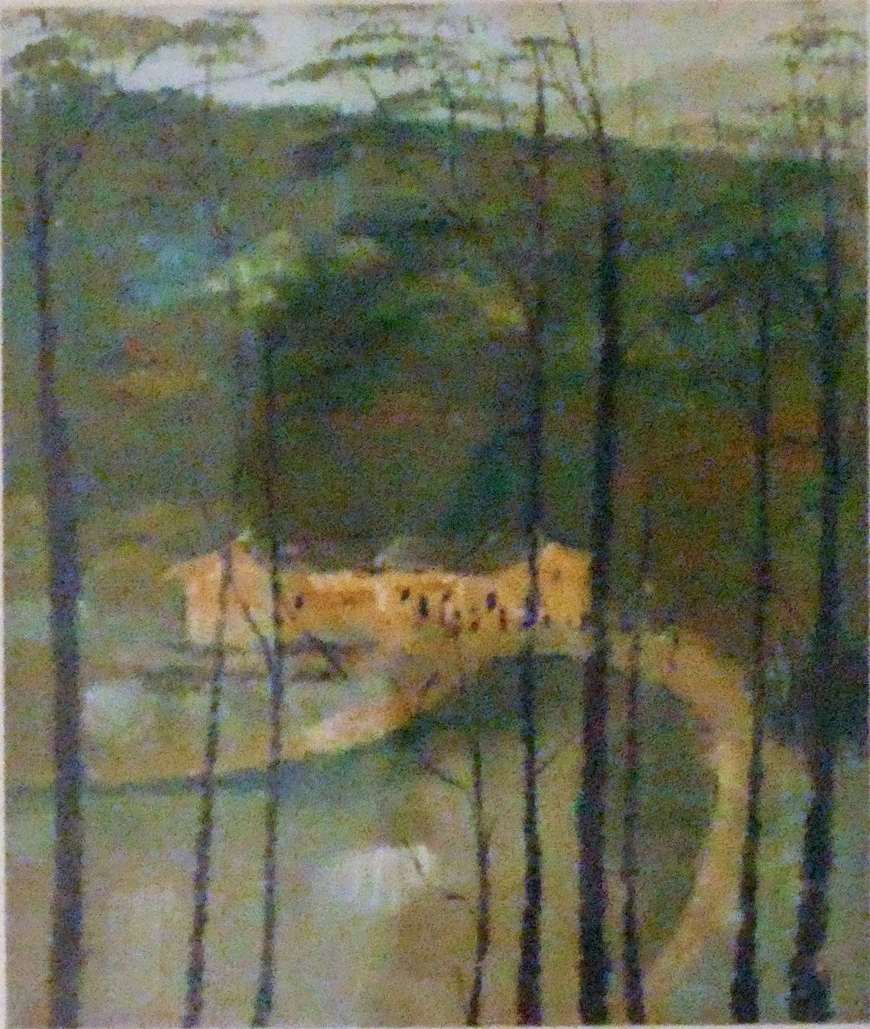 吴冠中-《吴冠中油画》(25cmx30cm)-龙在空间