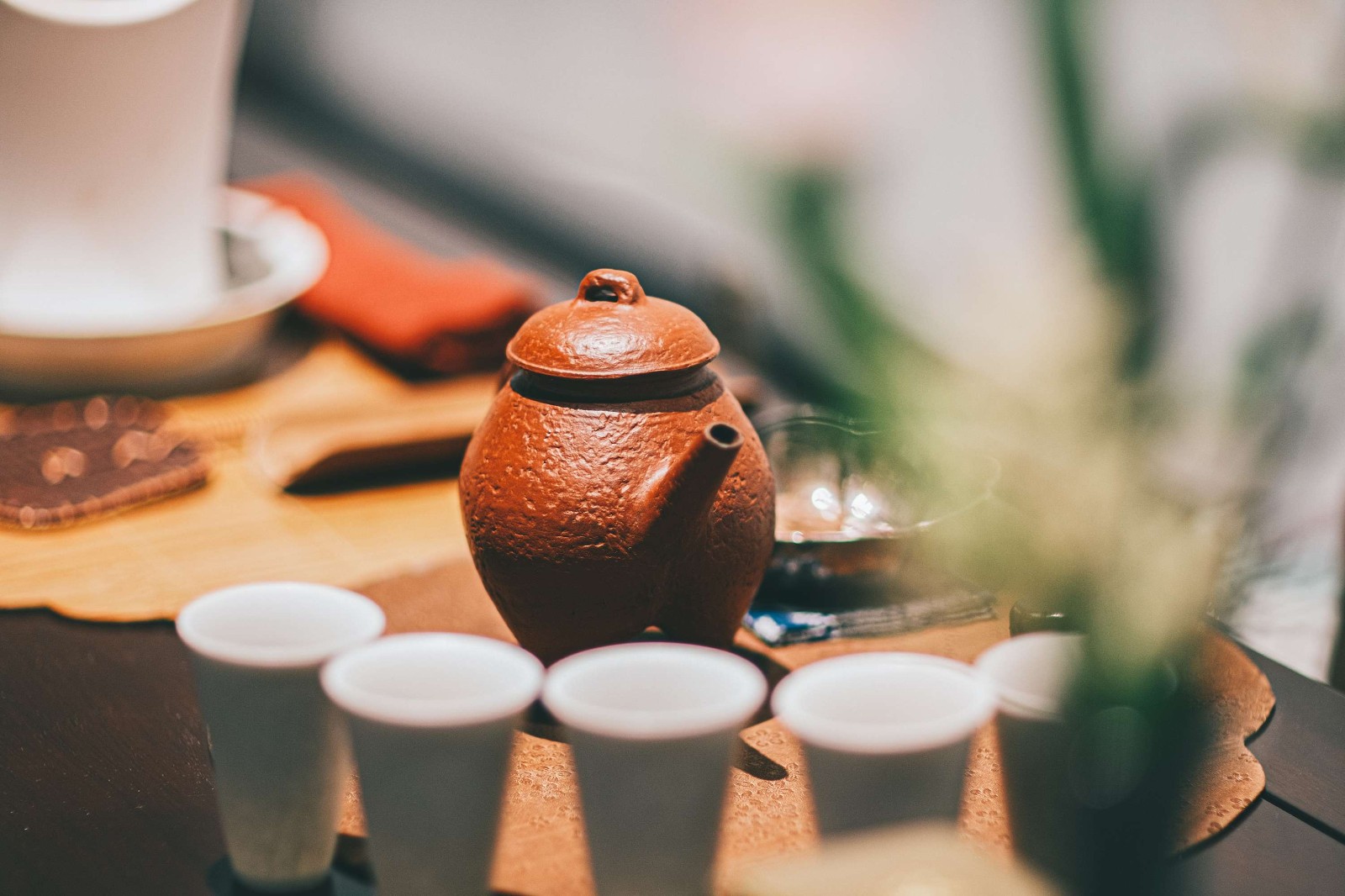 九如集雅集-沉浸式喝茶！