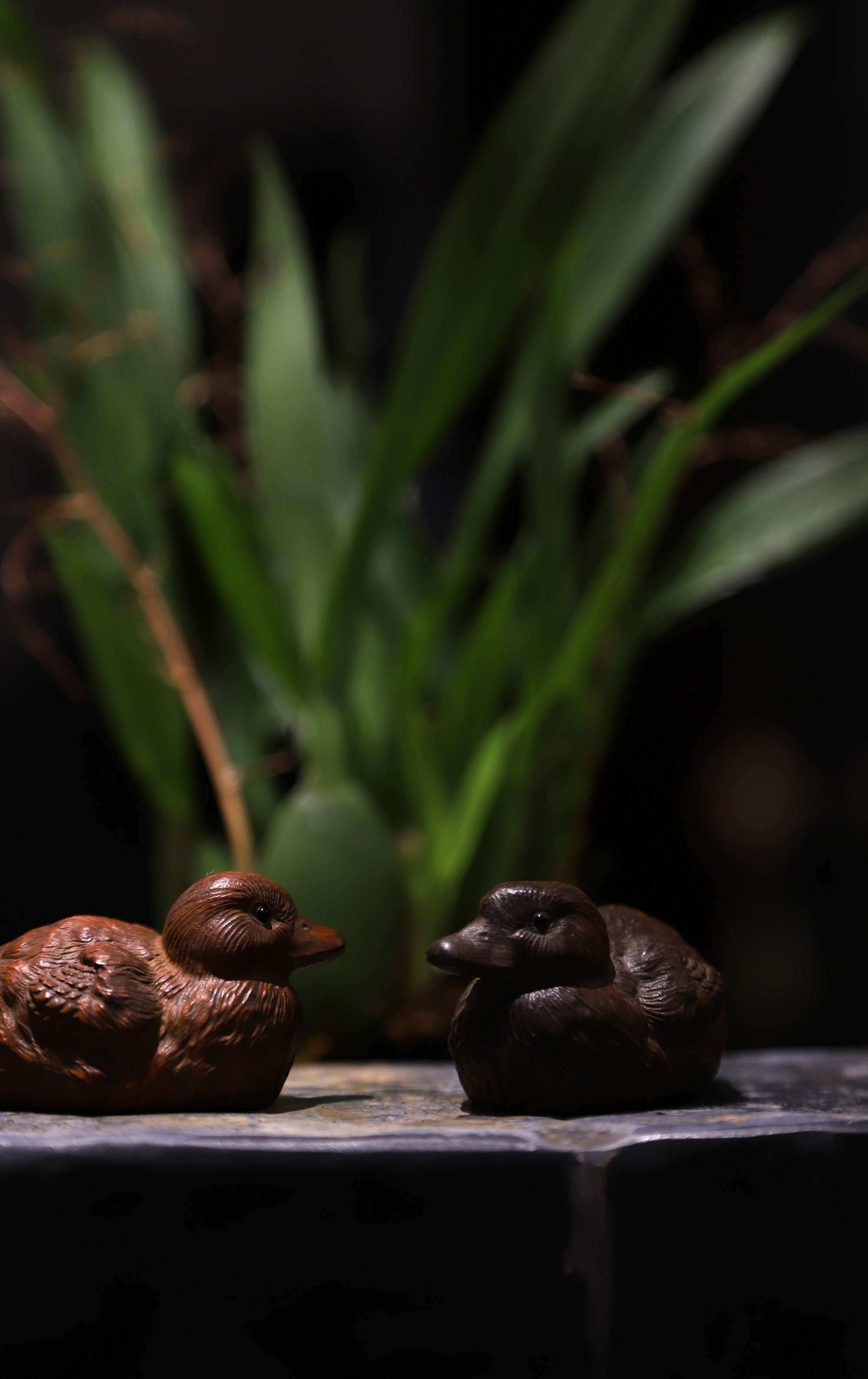 茶空间拍摄